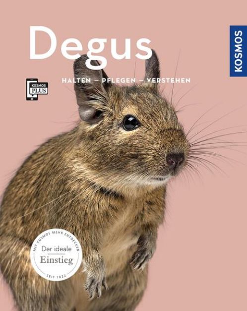 Bild von Degus (eBook)