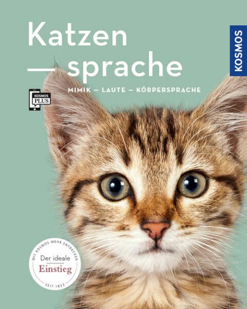 Bild von Katzensprache (eBook)