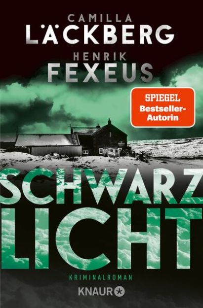 Bild von Schwarzlicht (eBook)