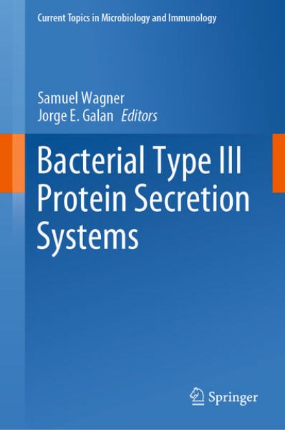 Bild von Bacterial Type III Protein Secretion Systems (eBook)