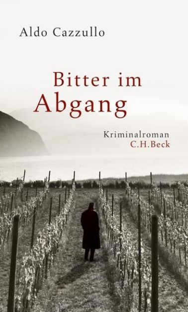 Bild von Bitter im Abgang (eBook)