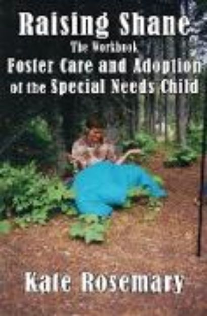 Bild von Raising Shane: Foster Care and Adoption of the Special Needs Child (eBook)