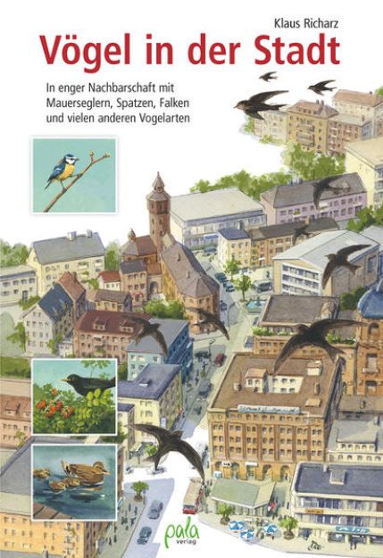 Bild von Vögel in der Stadt (eBook)