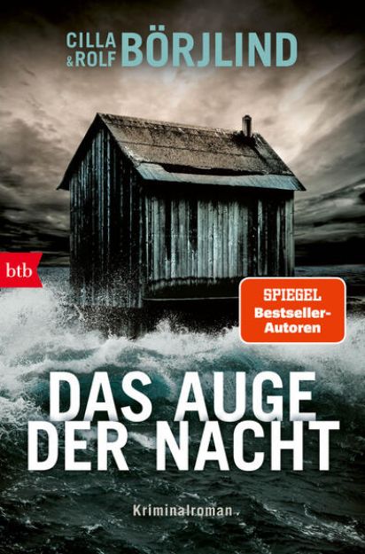 Bild von Das Auge der Nacht (eBook)