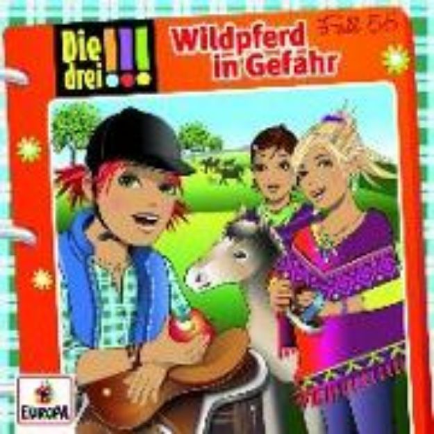 Bild von Wildpferd in Gefahr von Ina Biber