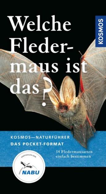 Bild von Welche Fledermaus ist das? (eBook)