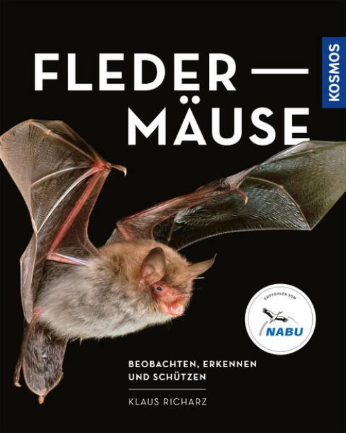 Bild von Fledermäuse (eBook)