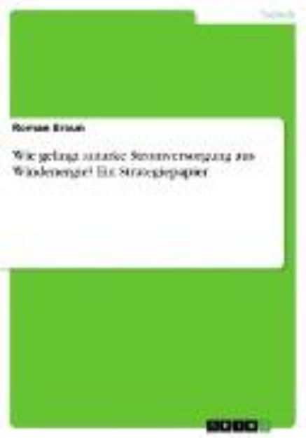 Bild von Wie gelingt autarke Stromversorgung aus Windenergie? Ein Strategiepapier (eBook)