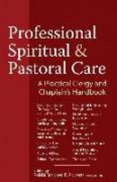 Bild von Professional Spiritual & Pastoral Care von Nancy K. (Beitr.) Anderson