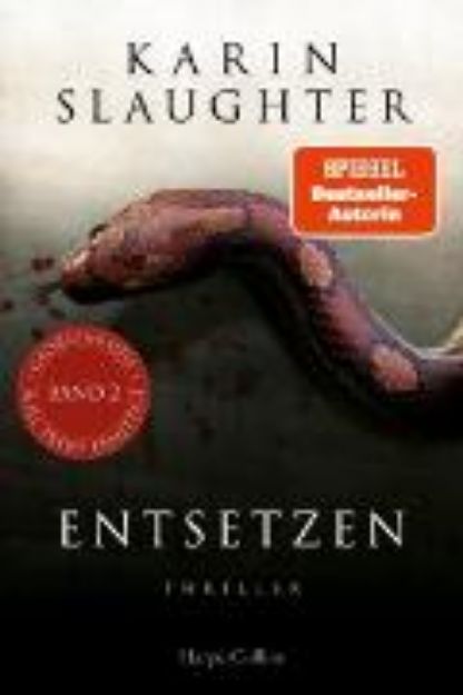 Bild von Entsetzen (eBook)