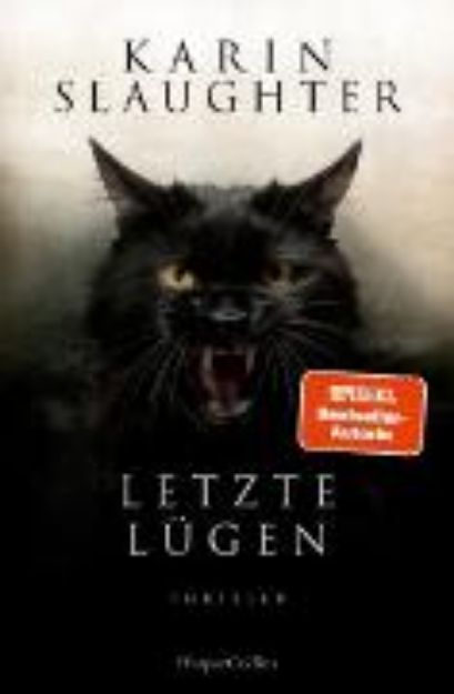 Bild von Letzte Lügen (eBook)