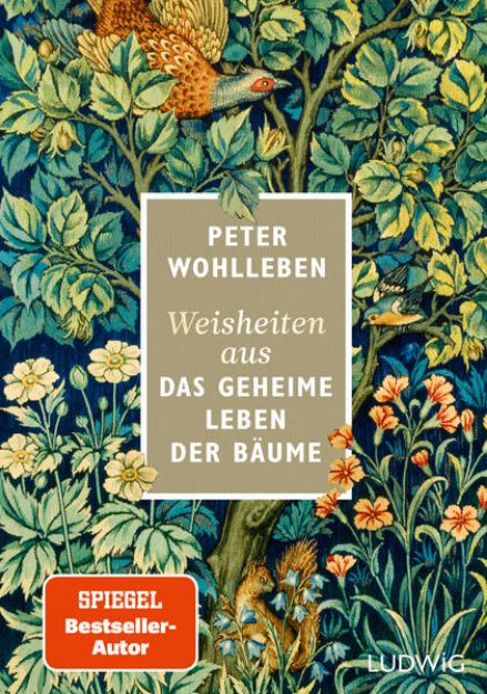 Bild von Weisheiten aus »Das geheime Leben der Bäume« von Peter Wohlleben