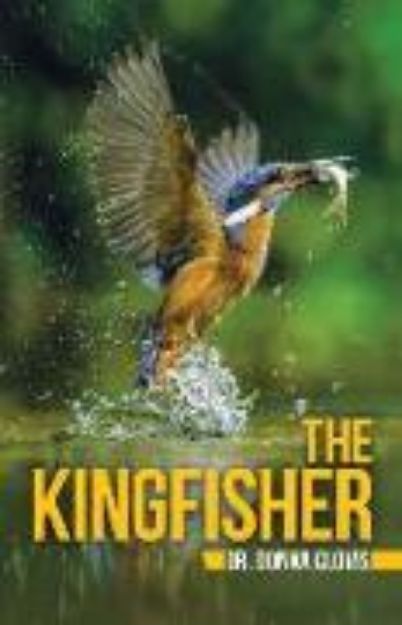 Bild von The Kingfisher von Donna Clovis