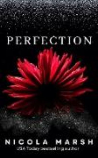 Bild zu Perfection (Cartwright brothers, #2) (eBook)