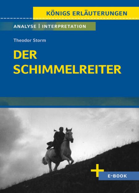 Bild von Der Schimmelreiter von Theodor Storm - Textanalyse und Interpretation (eBook)