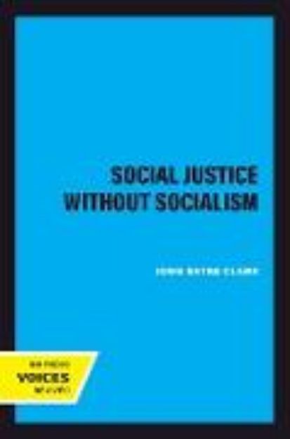 Bild von Social Justice without Socialism (eBook)