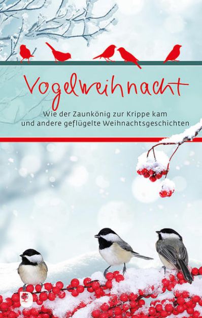 Bild von Vogelweihnacht