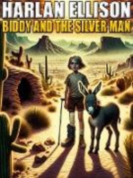 Bild von Biddy and the Silver Man (eBook)