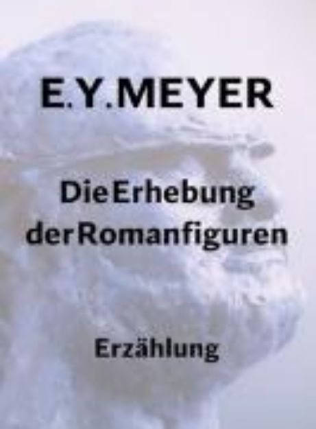 Bild von Die Erhebung der Romanfiguren (eBook)