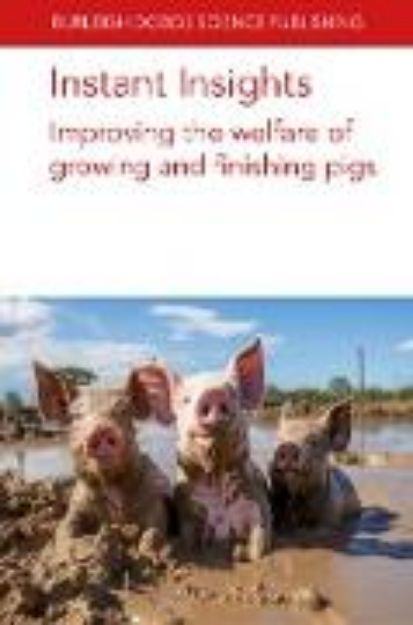 Bild zu Instant Insights: Improving the welfare of growing and finishing pigs (eBook)