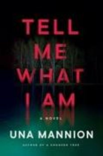 Bild von Tell Me What I Am von Una Mannion