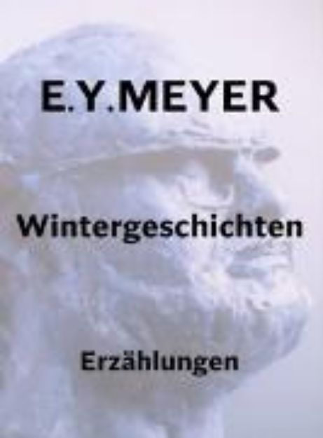 Bild von Wintergeschichten (eBook)