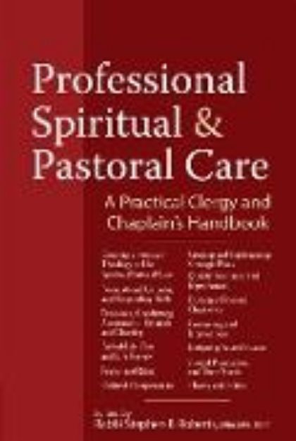 Bild von Professional Spiritual & Pastoral Care von Nancy K. (Beitr.) Anderson