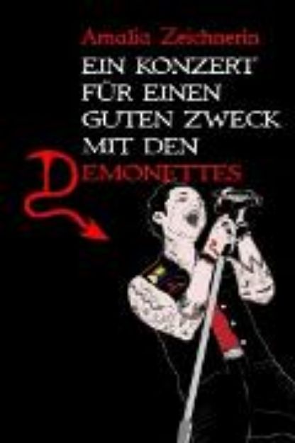 Bild von Ein Konzert für einen guten Zweck mit den Demonettes (eBook)