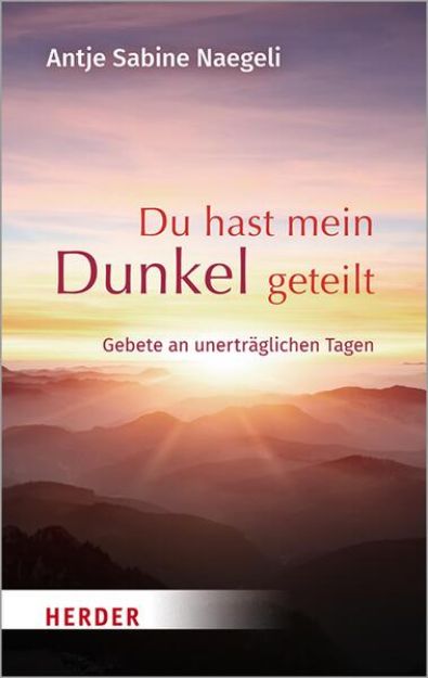 Bild von Du hast mein Dunkel geteilt (eBook)