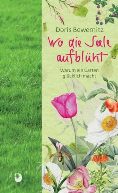 Bild von Wo die Seele aufblüht (eBook)