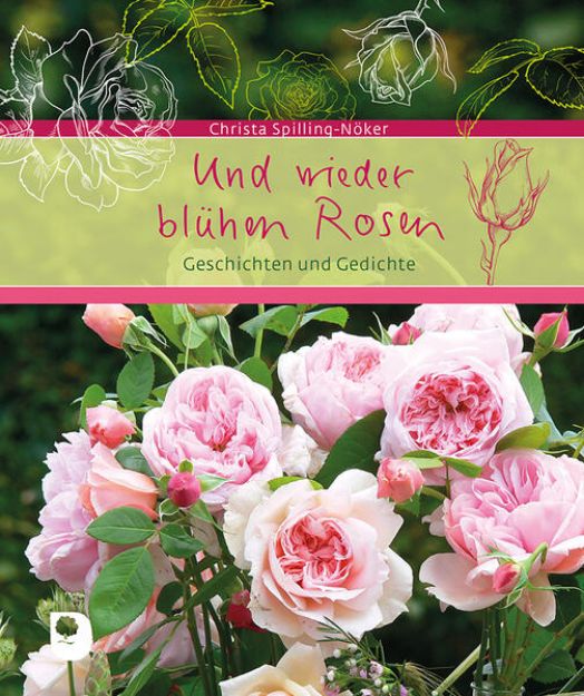 Bild von Und wieder blühen Rosen von Christa Spilling-Nöker