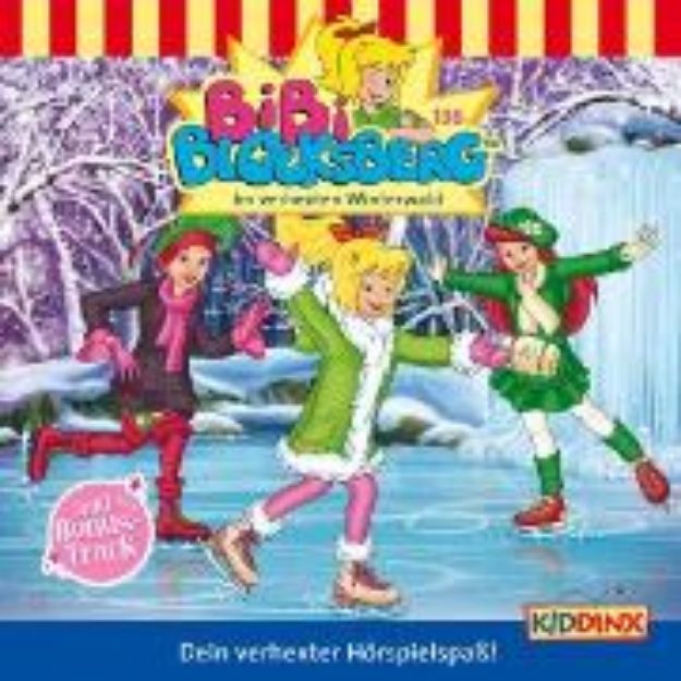 Bild von Im verhexten Winterwald (Audio Download)