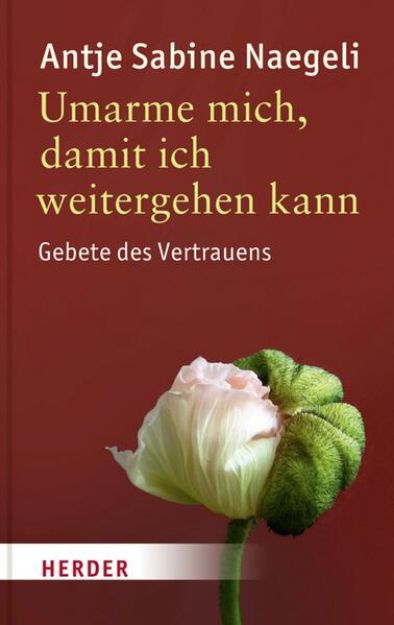 Bild von Umarme mich, damit ich weitergehen kann (eBook)