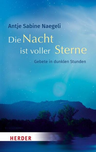 Bild von Die Nacht ist voller Sterne (eBook)