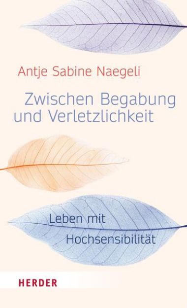 Bild von Zwischen Begabung und Verletzlichkeit (eBook)