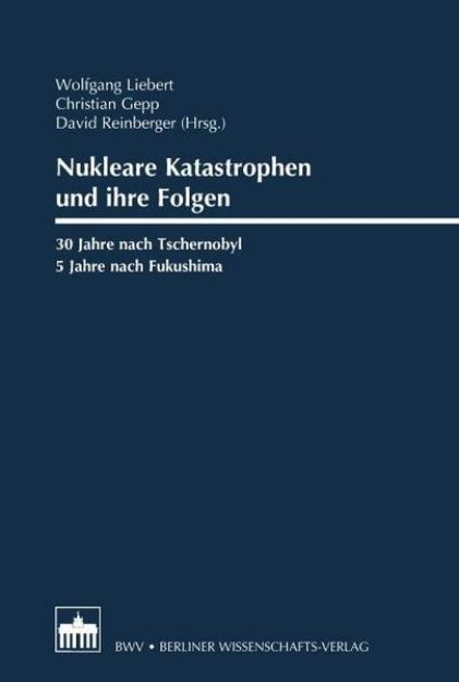 Bild von Nukleare Katastrophen und ihre Folgen (eBook)