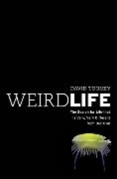 Bild von Weird Life von David Toomey