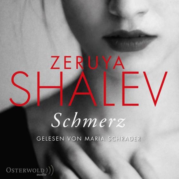 Bild von Schmerz (Audio Download)