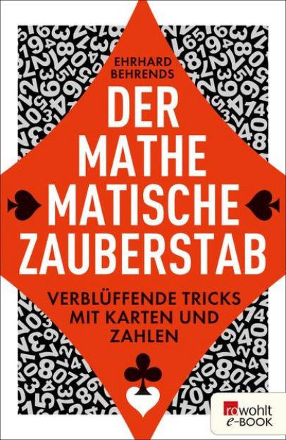 Bild von Der mathematische Zauberstab (eBook)