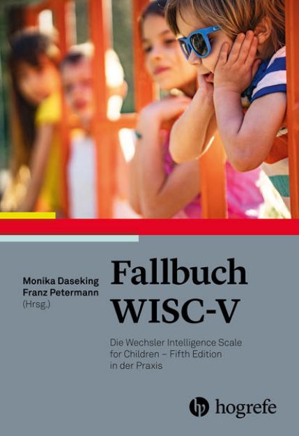 Bild von Fallbuch WISC-V (eBook)