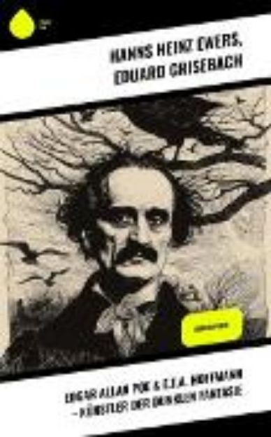 Bild von Edgar Allan Poe & E.T.A. Hoffmann - Künstler der dunklen Fantasie (eBook)