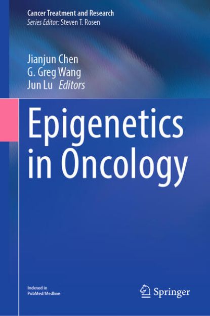 Bild zu Epigenetics in Oncology (eBook)