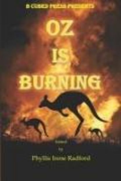 Bild zu Oz is Burning von Ann Poore