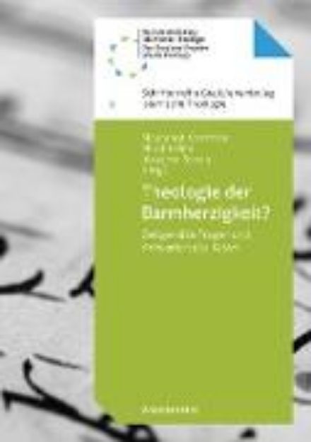 Bild von Theologie der Barmherzigkeit? (eBook)