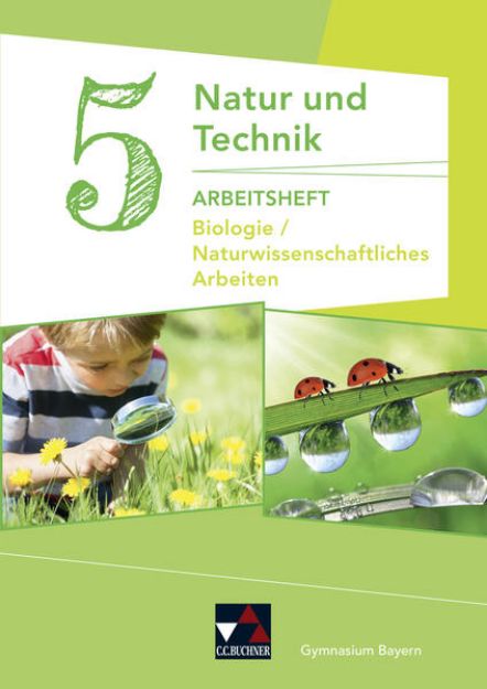 Bild von Natur und Technik 5: Biologie / Naturwissenschaftliches Arbeiten Arbeitsheft von Kathrin Gritsch