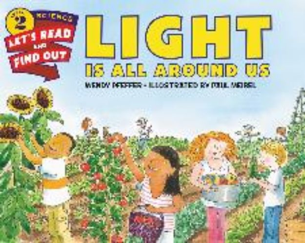 Bild von Light Is All Around Us von Wendy Pfeffer