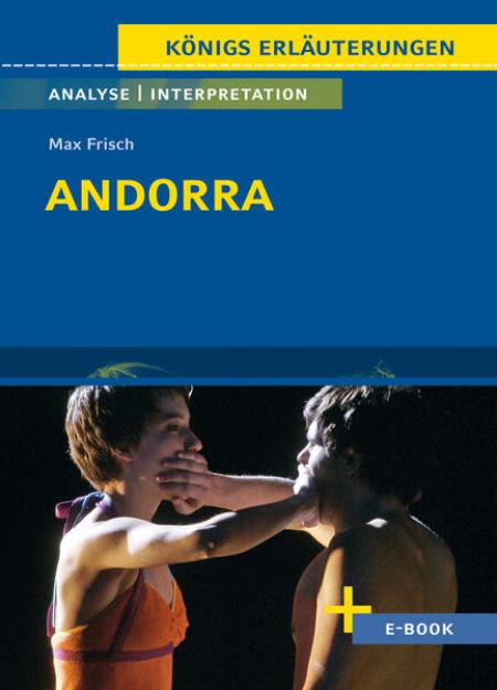 Bild von Andorra von Max Frisch - Textanalyse und Interpretation (eBook)