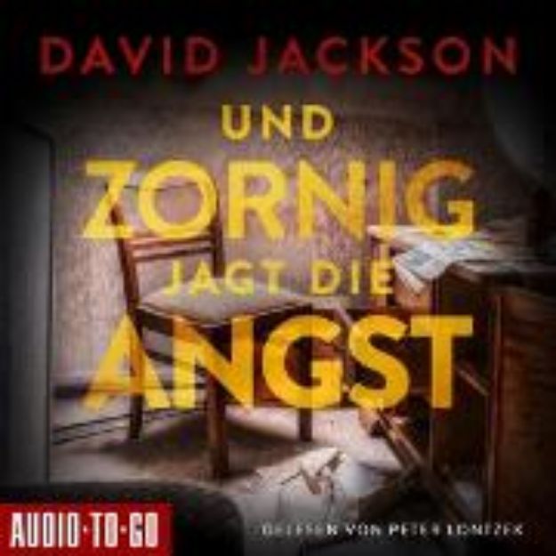 Bild von Und zornig jagt die Angst (Audio Download)