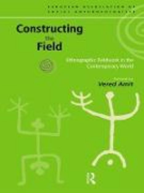 Bild von Constructing the Field (eBook)