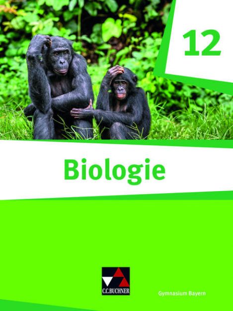 Bild von Biologie Bayern 12 von Frank Scholz